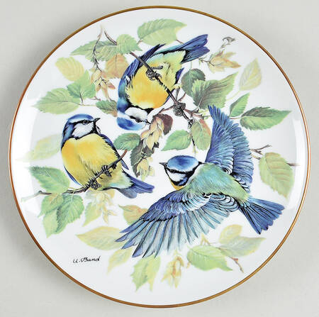 Band's Songbirds of Europe Blue Titmouse - No Box