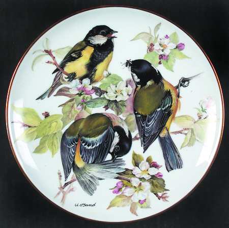 Band's Songbirds of Europe Great Titmouse - No Box