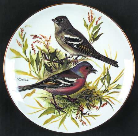 Band's Songbirds of Europe Chaffinch - Boxed