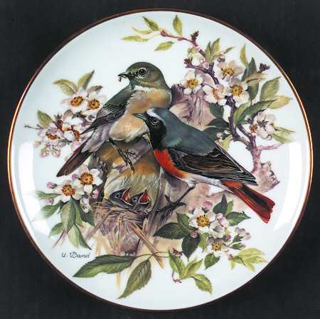 Band's Songbirds of Europe Redstart - Boxed