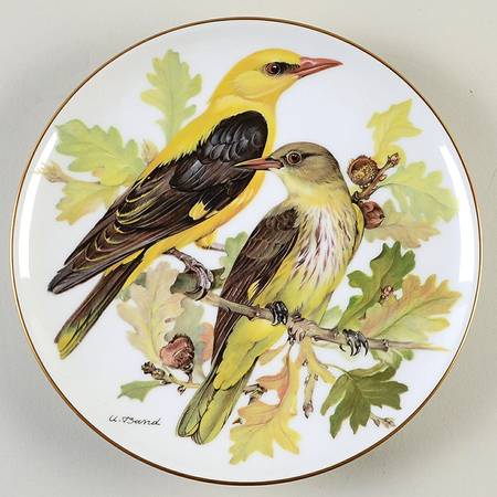 Band's Songbirds of Europe Golden Oriole - Boxed