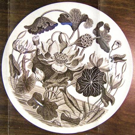 Wedgwood Single Release Plates Water Lily-For Susannah Darwin - Boxed
