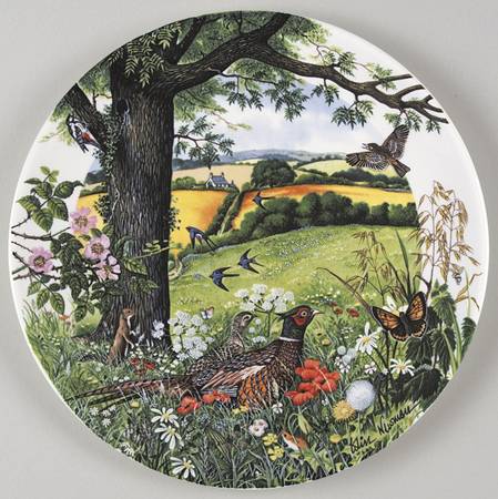 Country Panorama Meadows And Wheatfields - With Box
