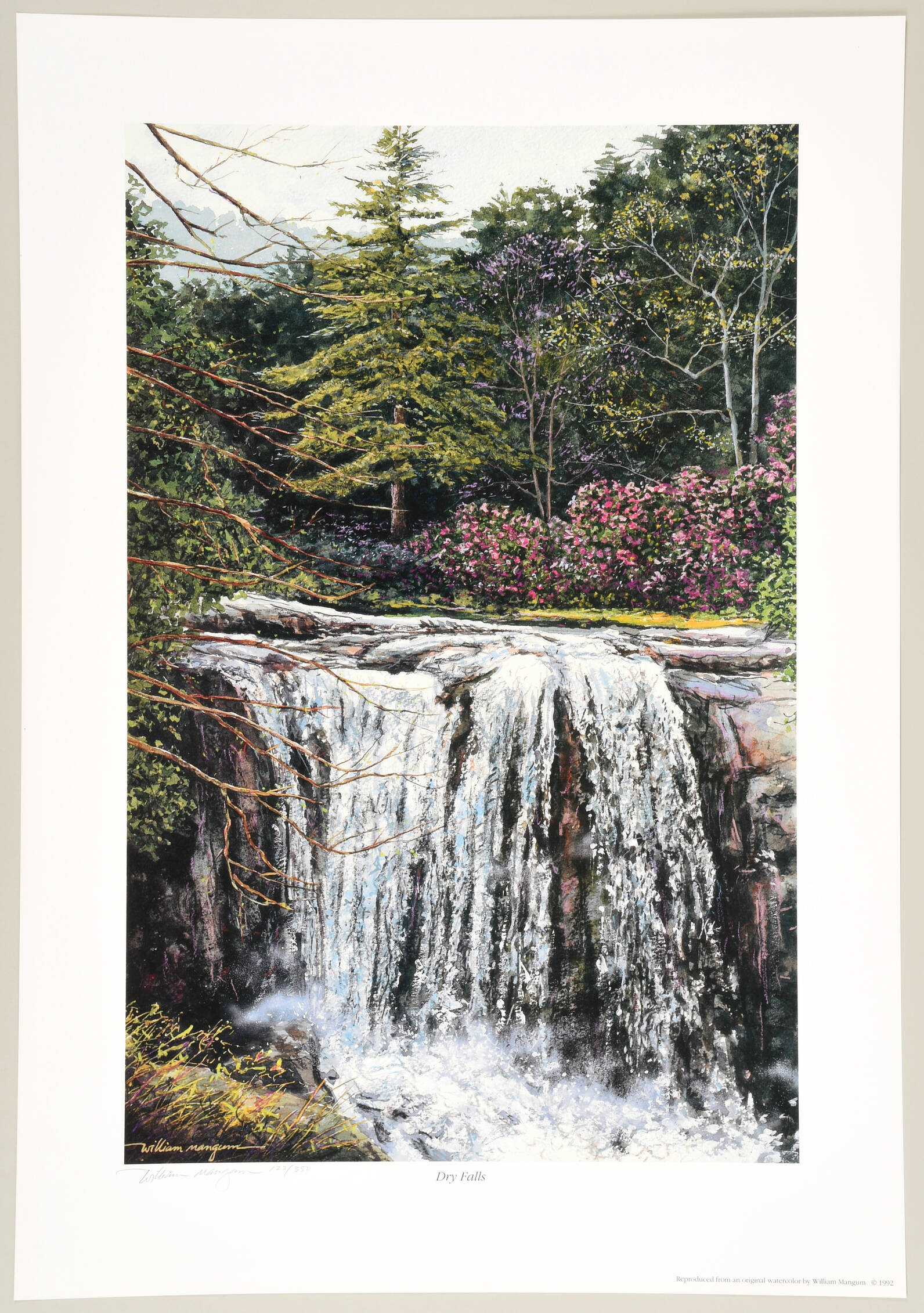 William Mangum Prints Dry Falls - Boxed