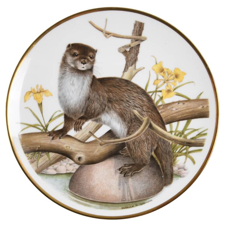 The Wildlife of Britain Otter - Boxed
