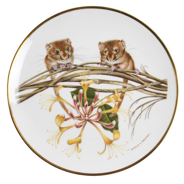 The Wildlife of Britain Dormouse - No Box