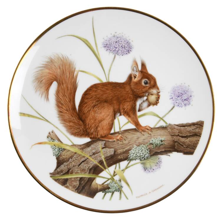 The Wildlife of Britain Red Squirrel - Boxed