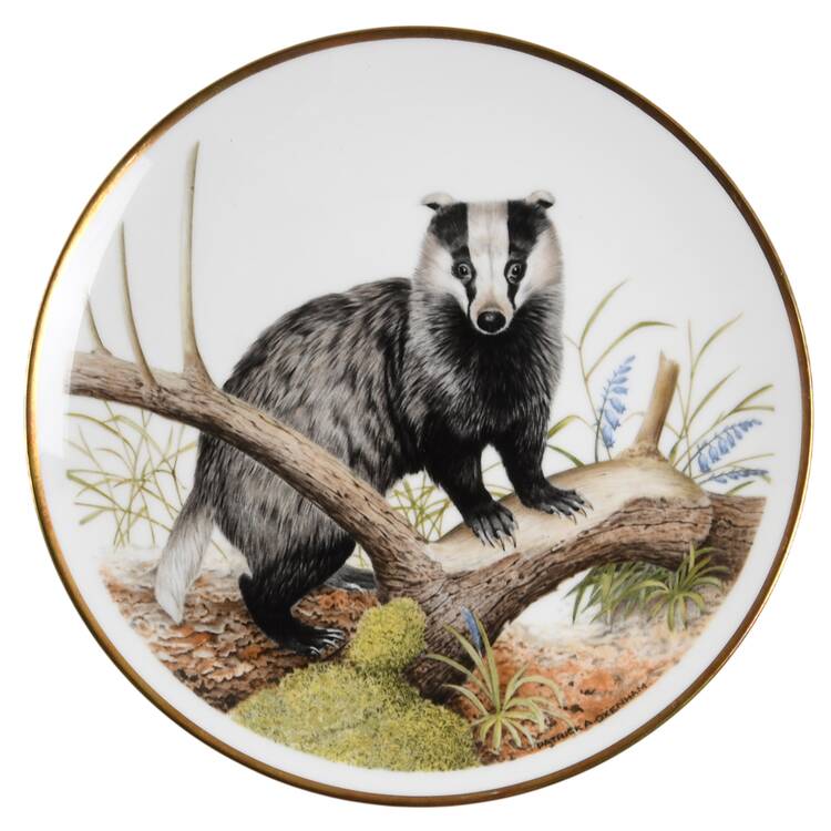 The Wildlife of Britain Badger - No Box