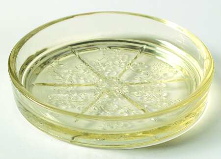 Florentine 2 Yellow Coaster