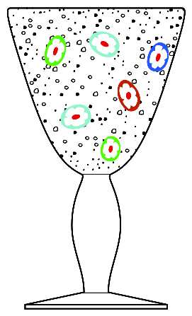 Fiore Clear