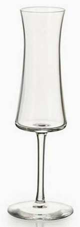 Village Fluted Champagne
