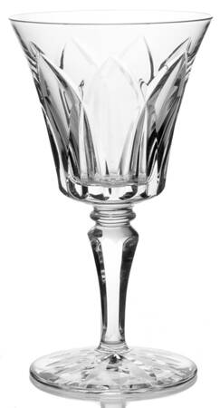 CDS1 Wine Glass