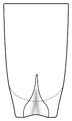 Lisbonne
