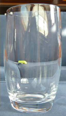 Alpha Highball Glass
