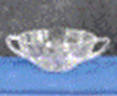 3120-4 Cream Soup Bowl Only