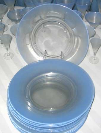 DTC20 Dinner Plate