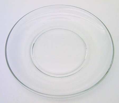 Contour Clear Dinner Plate