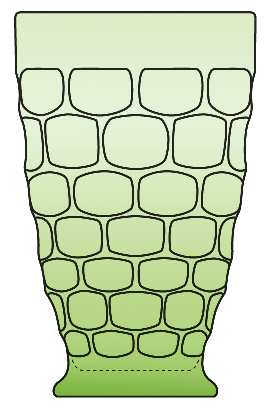 Yorktown Green (Lime) 12 Oz Footed Tumbler