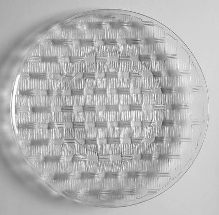 Basketweave by Forte Crisa
