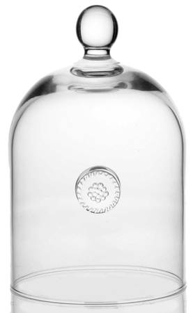 Berry and Thread Cloche (A Glass Cover)
