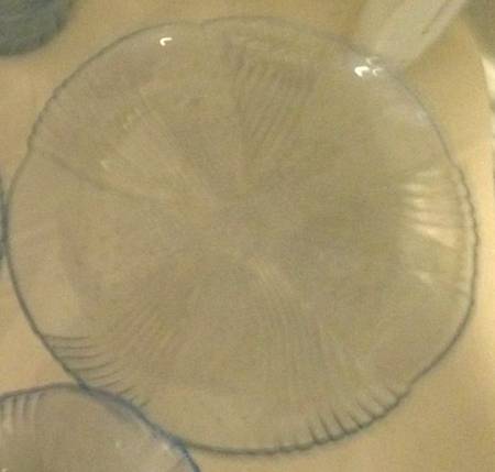 Harmony Blue Coupe Soup Bowl