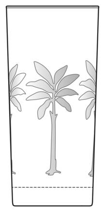 Palm Tree