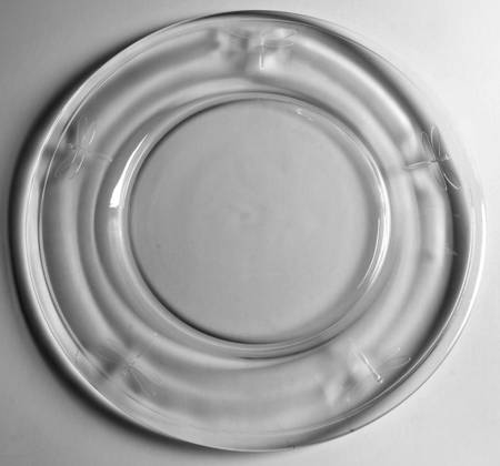 Dragonfly Service Plate