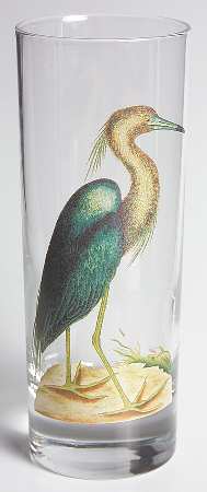 New York Botanical Garden Bird 12 Oz Flat Tumbler