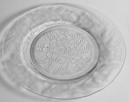 Dogwood Clear by MacBeth-Evans