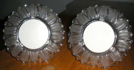 Sunflower Frost Flower Frame