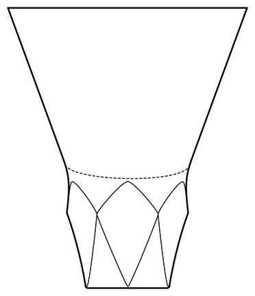 Carat