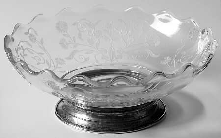 Aster by Paden City