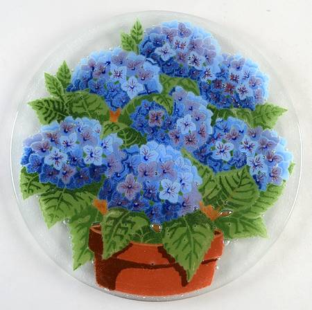 Hydrangea by Peggy Karr
