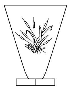 Cattail