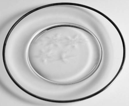 Wyndcrest (Platinum Trim) 7" Salad Plate by Reizart