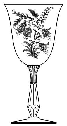 Fuchsia (Stem 17378 Etch)