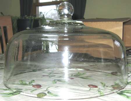 Victoria Dome for Cake Plate by Toscany