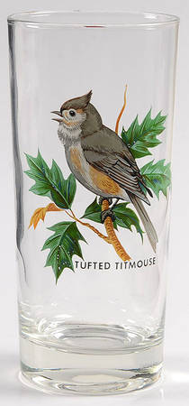 American Songbirds 13 Oz Flat Tumbler