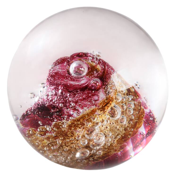 Evolution (Red, Pink, Amber) Paperweight