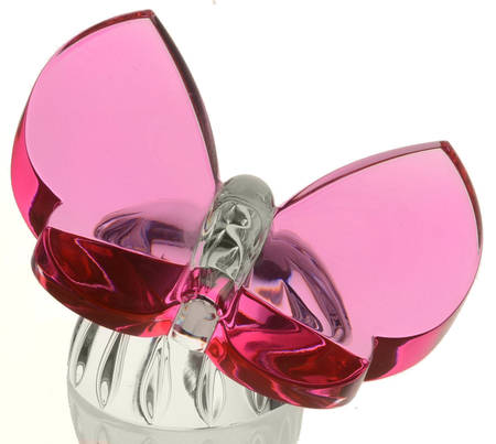 Butterfly Collection Butterfly Paperweight