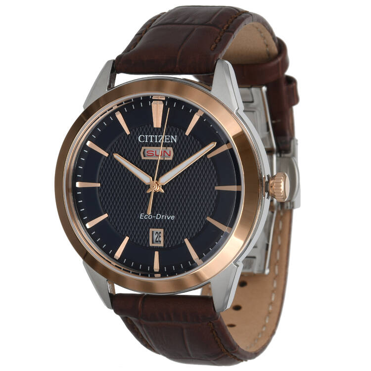 Citizen Rolan Day Date Two Tone Eco Drive Quartz Watch