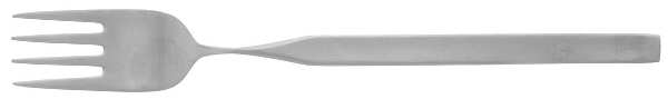 AOT2 (STAINLESS) Fork