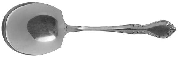 Creon (Stainless) Solid Smooth Casserole Spoon