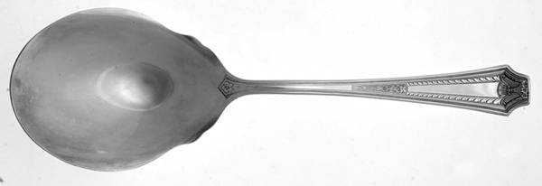 AJS1 (Silverplate) Solid Smooth Casserole Spoon by Ajax