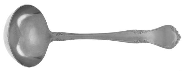 Creon (Stainless) Solid Gravy Ladle