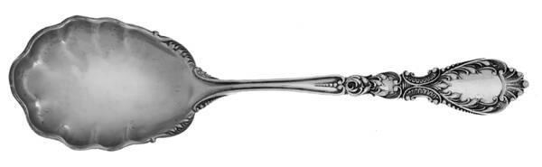 Nautilus (Sterling, 1900) Large Jelly Spoon