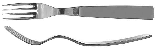 Ibis (Stainless) Fork