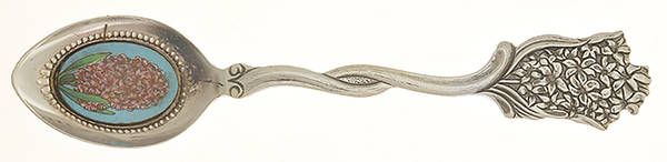 Bulbs Souvenir Spoons (Silverplate) Souvenir Spoon (Demitasse) by Breck's