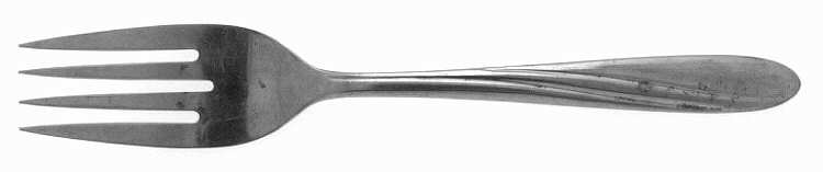 CAP1 (Stainless) Fork