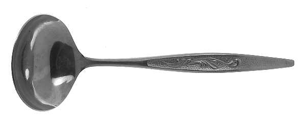 CAS1 (STAINLESS) Solid Gravy Ladle